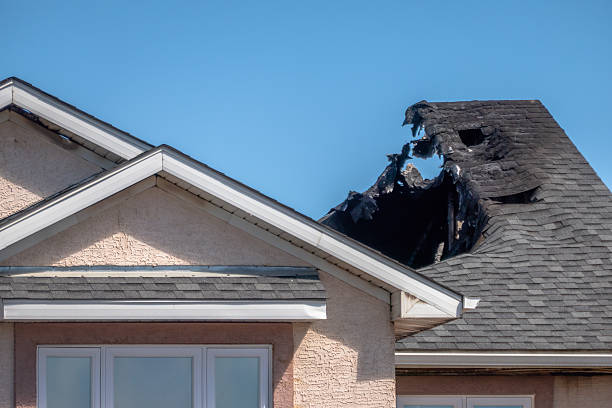 Top rated local Odor Removal specialists in Crofton, MD